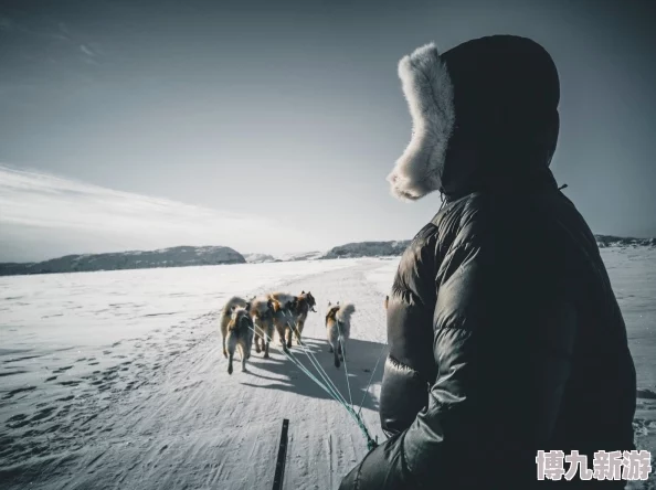 旅行者和派蒙在雪地见到八重神子，意外发现她与冰雪精灵的秘密交汇之处