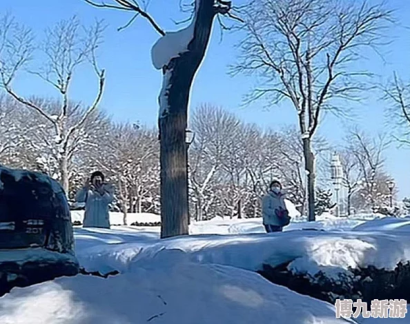 旅行者和派蒙在雪地见到八重神子，意外发现她与冰雪精灵的秘密交汇之处