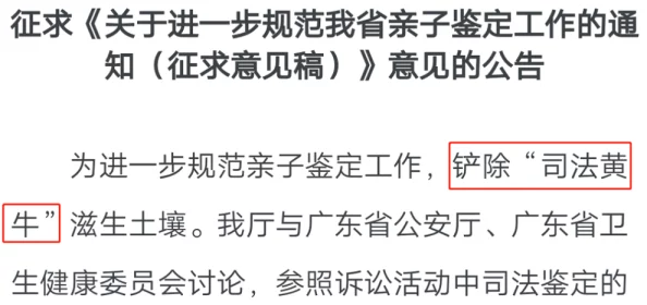 17c在线吃瓜：社交媒体如何影响人们对热点事件的看法与讨论方式分析