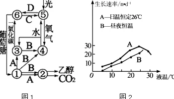 积积对积积的桶：一种新型数学模型在复杂系统中的应用与分析研究