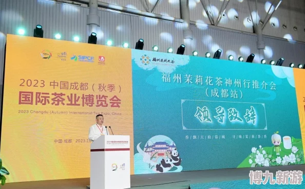 无敌号价格揭秘：了解无敌号的市场价值与购买指南