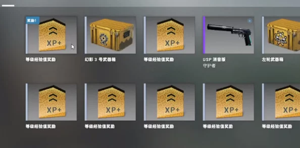 CSGO免费获取优先账户方法详解 ｜ 如何轻松白嫖优先账户